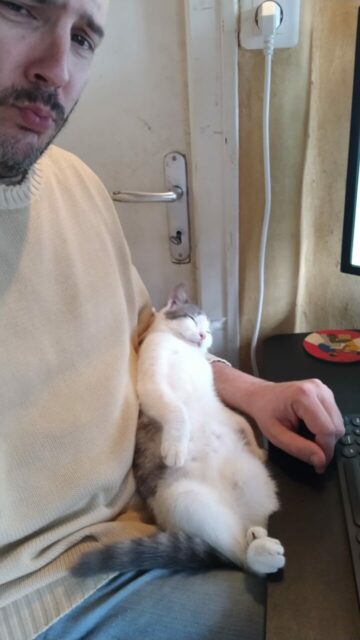 Photo de Bruno Bouget et son chat