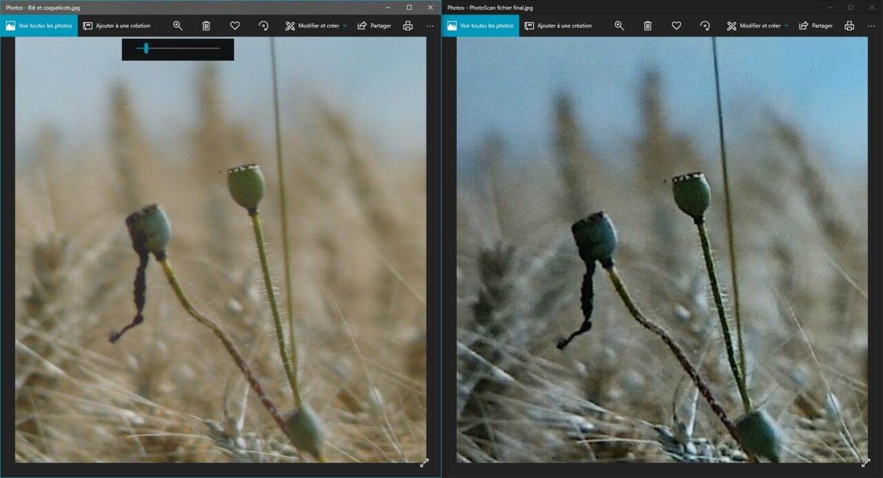 Capture d'écran de l'application Photos ouverte 2 fois; à gauche la photo ICE, à droite la photo PhotoScan.