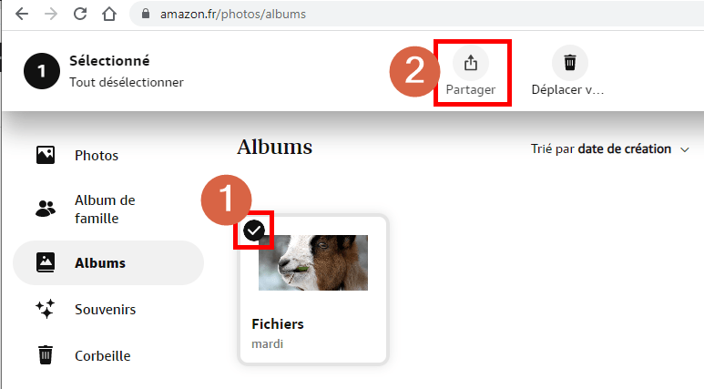 Capture d'écran du site web Amazon Photos montrant un album sélectionné et le bouton partager