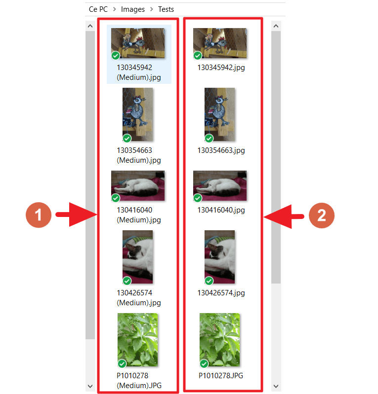 Capture d'écran de l'application Image Resizer for Windows, images originales et réduites.