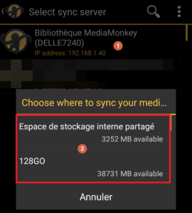 Capture d'écran de l'application MediaMonkey Android, choix du serveur de synchronisation.