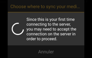 Capture d'écran de l'application MediaMonkey Android, message première synchronisation demandant d'accepter la connexion sur le PC.
