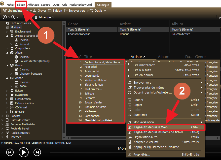 Capture d'écran de l'application MediaMonkey, sélection des pistes pour tags-auto depuis le web.
