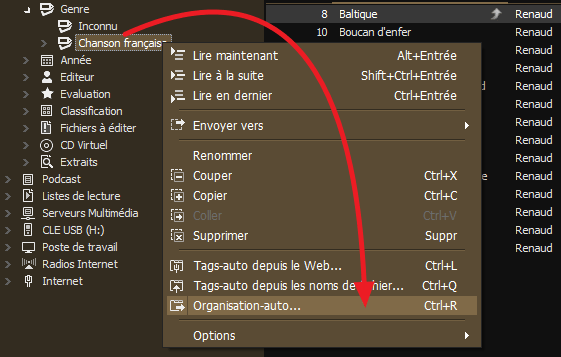 Capture d'écran de l'application MediaMonkey Windows, organisation-auto.