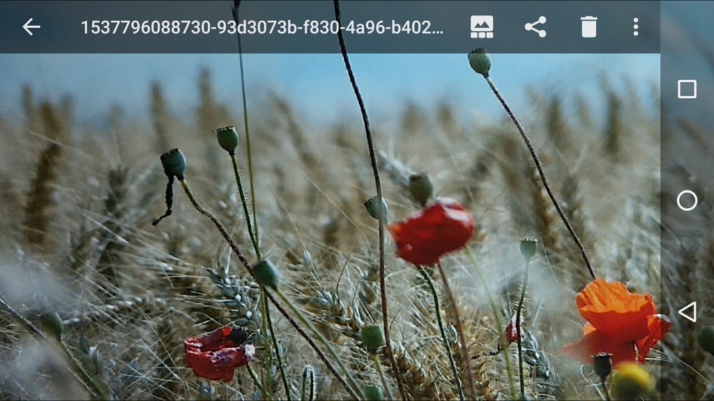 Capture d'écran d'une image numérisée avec PhotoScan, ouverte dans l'application F-Stop.