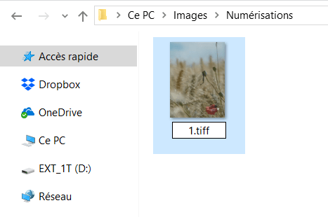 Capture d'écran de l'application explorateur de fichiers, renommage numérisation.