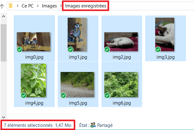 Capture d'écran de l'application Resize Crop Share Email, images enregistrées.