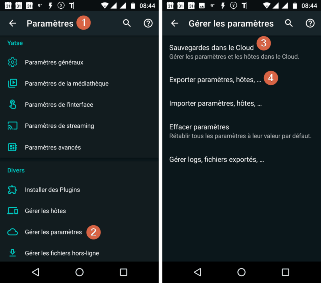 Capture d'écran de l'application Android "Yatse".